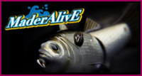MaderAlive