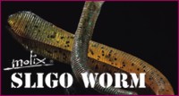 Sligo Worm