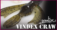 Vindex Craw